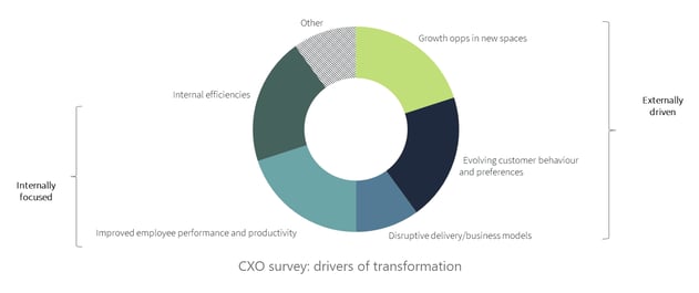 Transform? Yes! Why? Because!